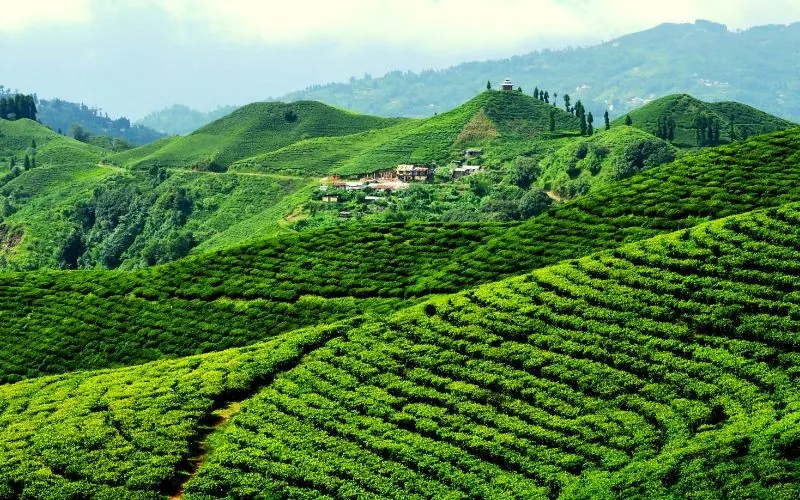 Homestays are changing village tourism