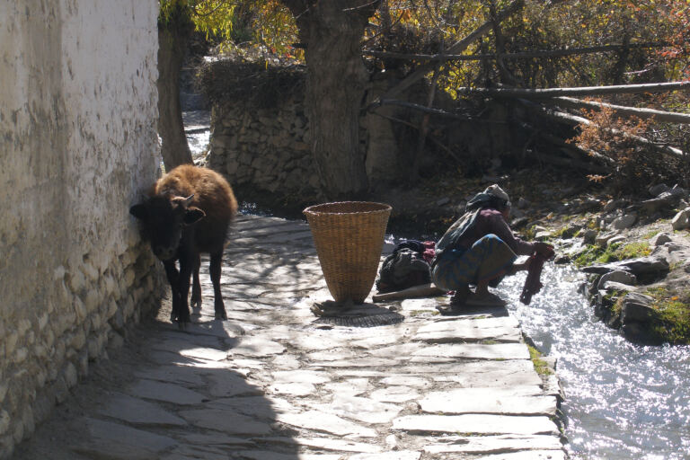 Village life in Jomsom, Mustang, one of the Nepal locations used in The Legend of Wisely