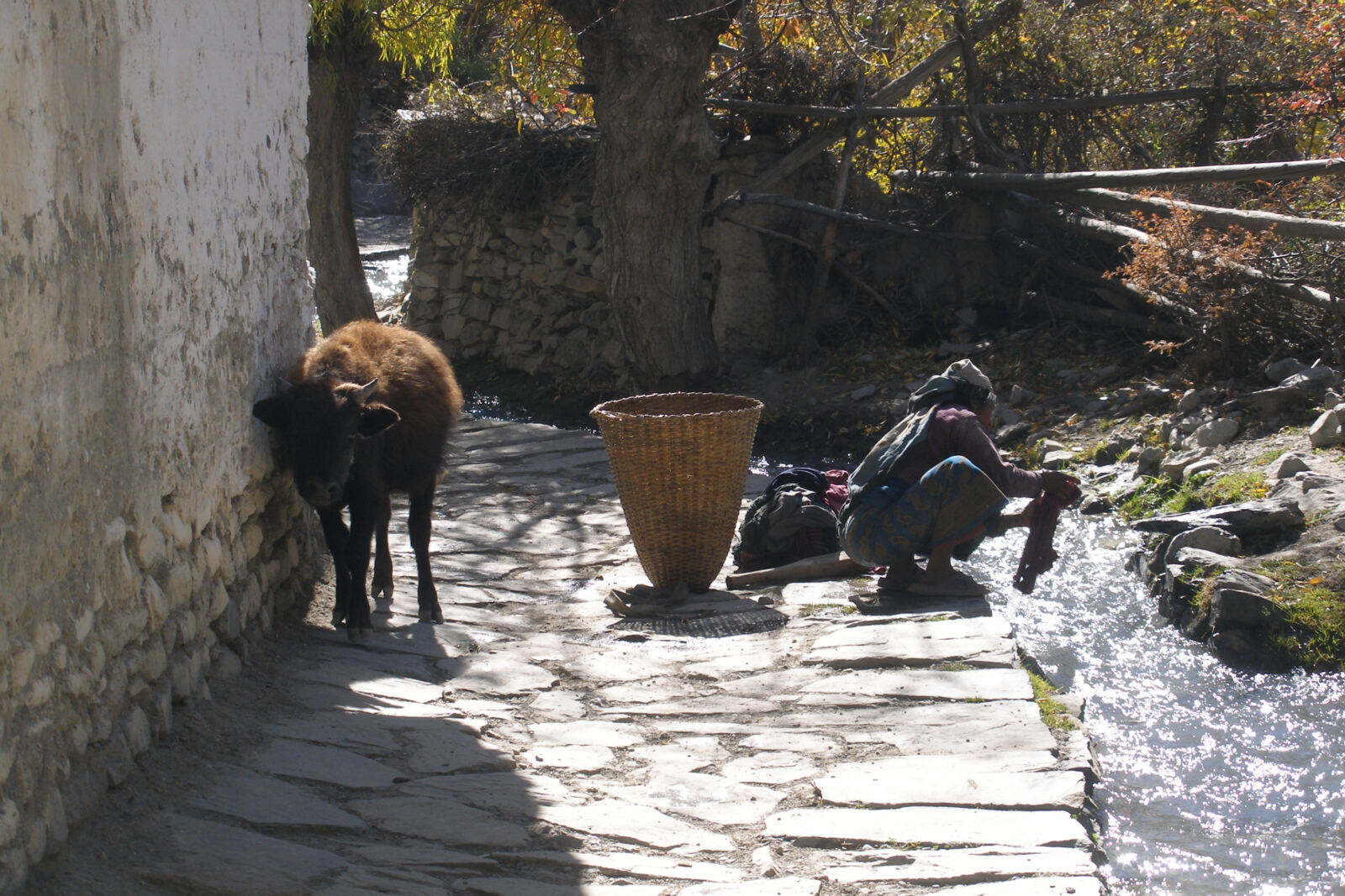 Village life in Jomsom, Mustang, one of the Nepal locations used in The Legend of Wisely