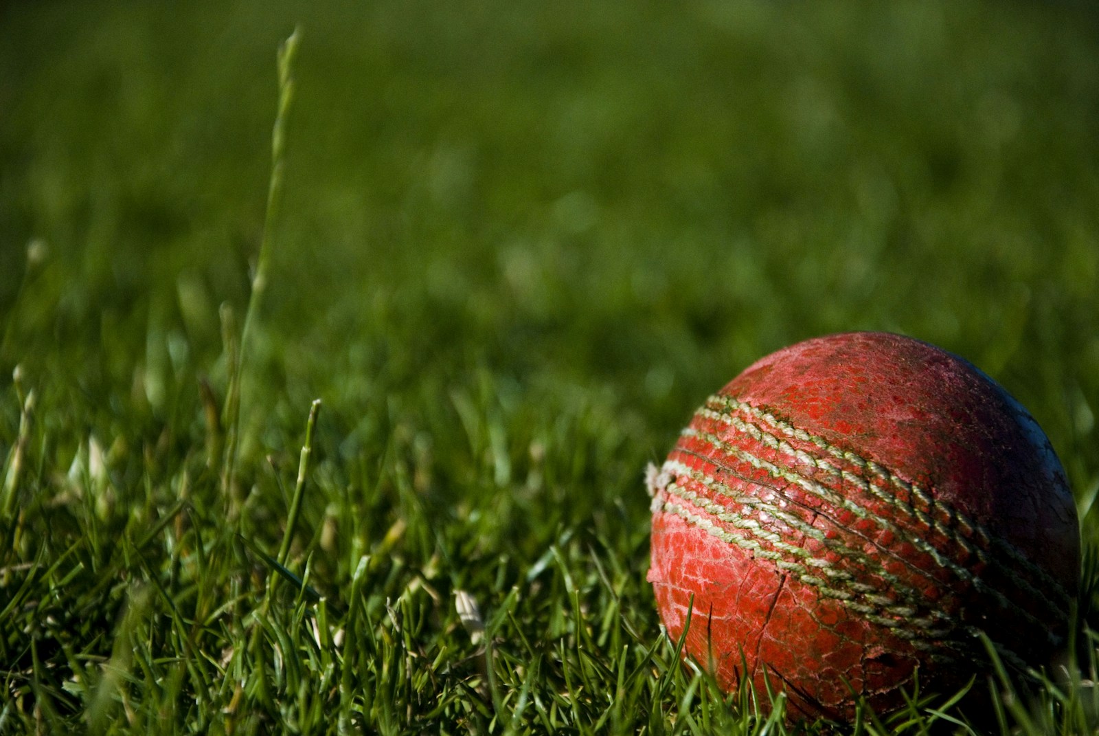 Growing Into the Game: The Making of Rohit Paudel